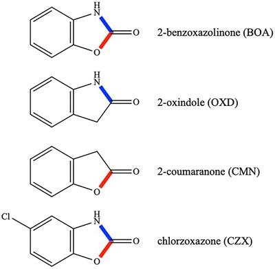 Transcriptomic Responses of Fusarium verticillioides to Lactam and Lactone Xenobiotics